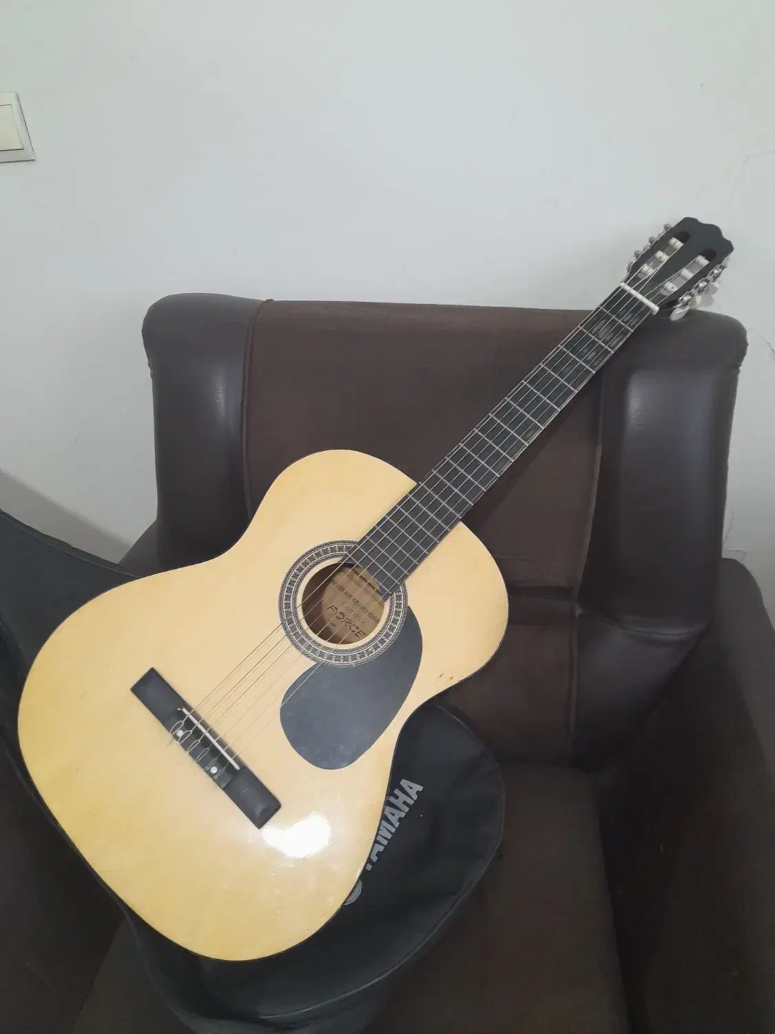 ویلن و گیتار|ویولن|پاکدشت, پاکدشت (مامازند)|دیوار