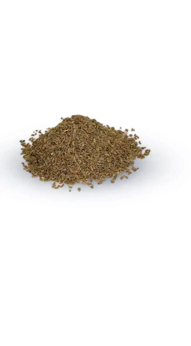 بذر سبزی جات خارجی|گل و گیاه طبیعی|شیراز, آزادگان|دیوار
