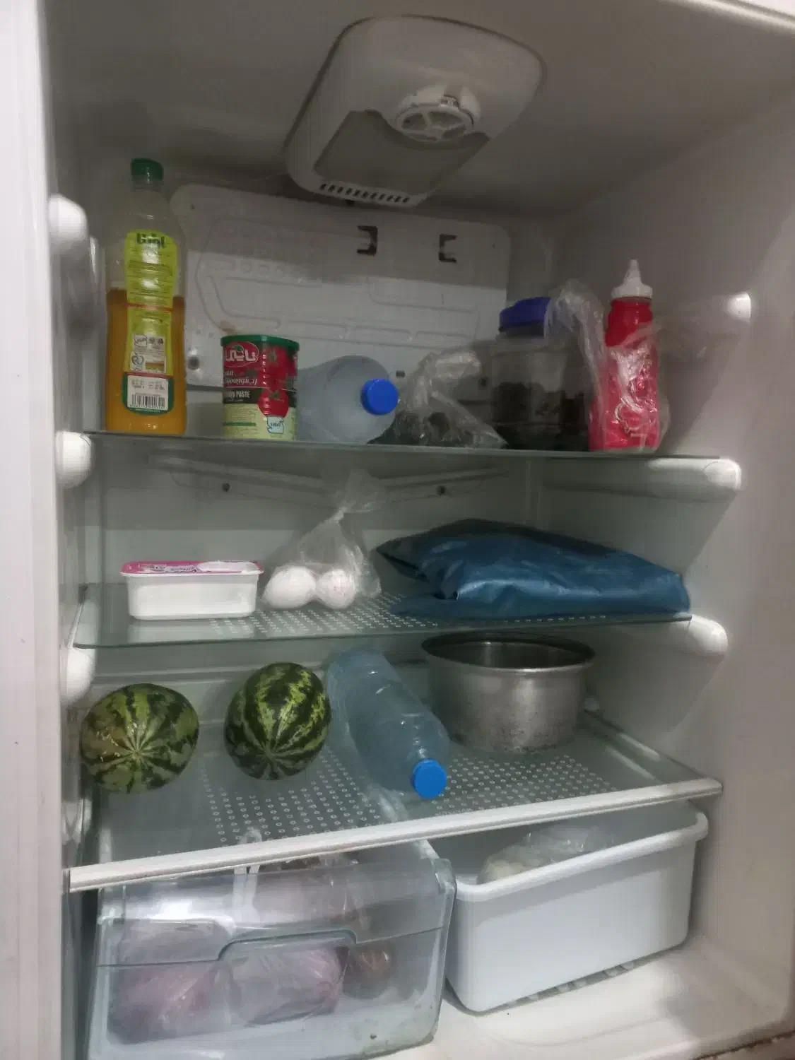 یخچال|یخچال و فریزر|زابل, |دیوار