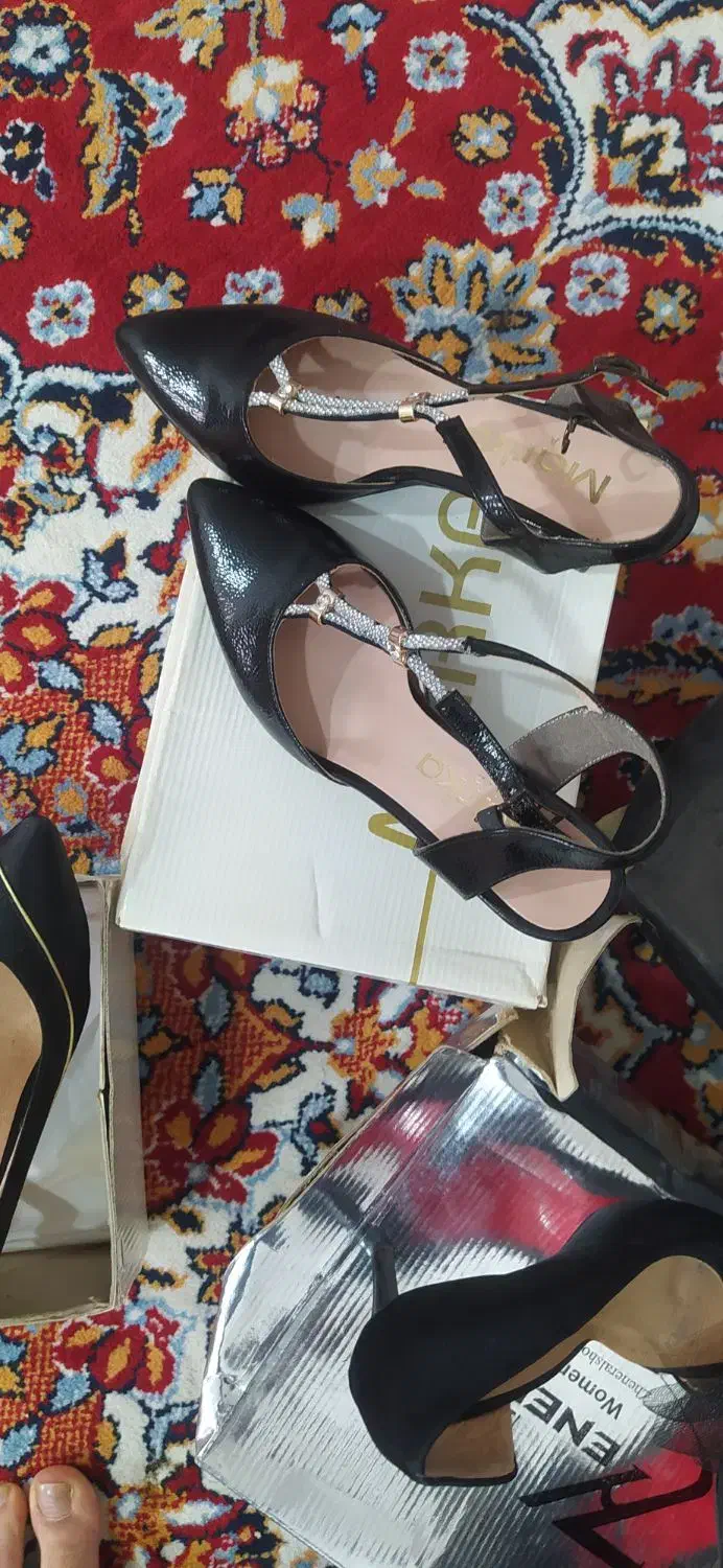 کفش|کیف، کفش، کمربند|اهر, |دیوار