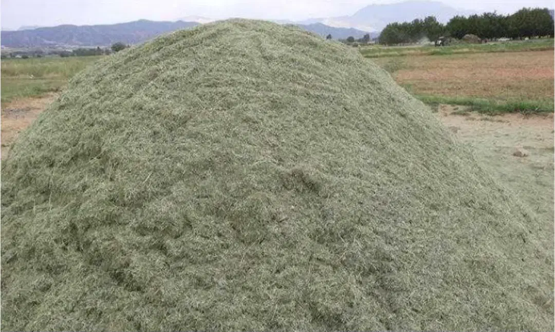 کاه|لوازم جانبی حیوانات|سرولایت, |دیوار