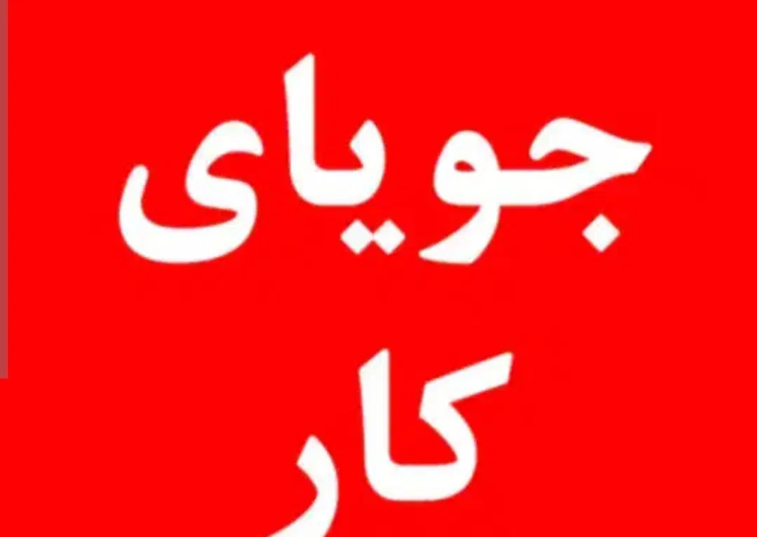 راهنمایی کار و دانشگاه|فعالیت داوطلبانه تحقیقاتی|پرند, فاز ۶|دیوار
