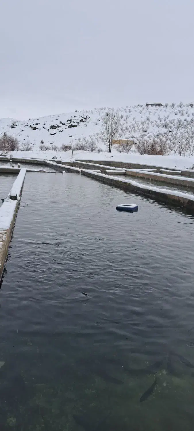 کارگر جهت کار در پرورش ماهی|استخدام سرایداری و نظافت|سپیدان, |دیوار