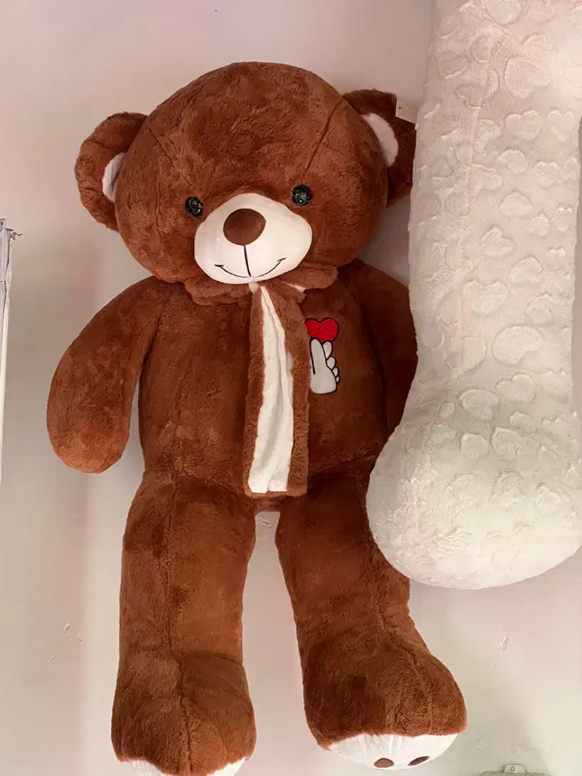 عروسکها کاملا نو هستن مغازه رو جمع کردم|اسباببازی|آمل, |دیوار