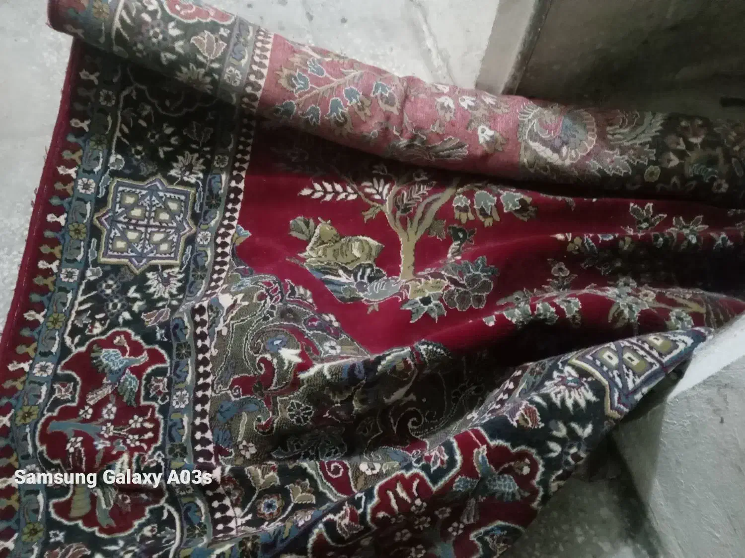 فرش|فرش|تربت‌حیدریه, شهرک ولیعصر|دیوار