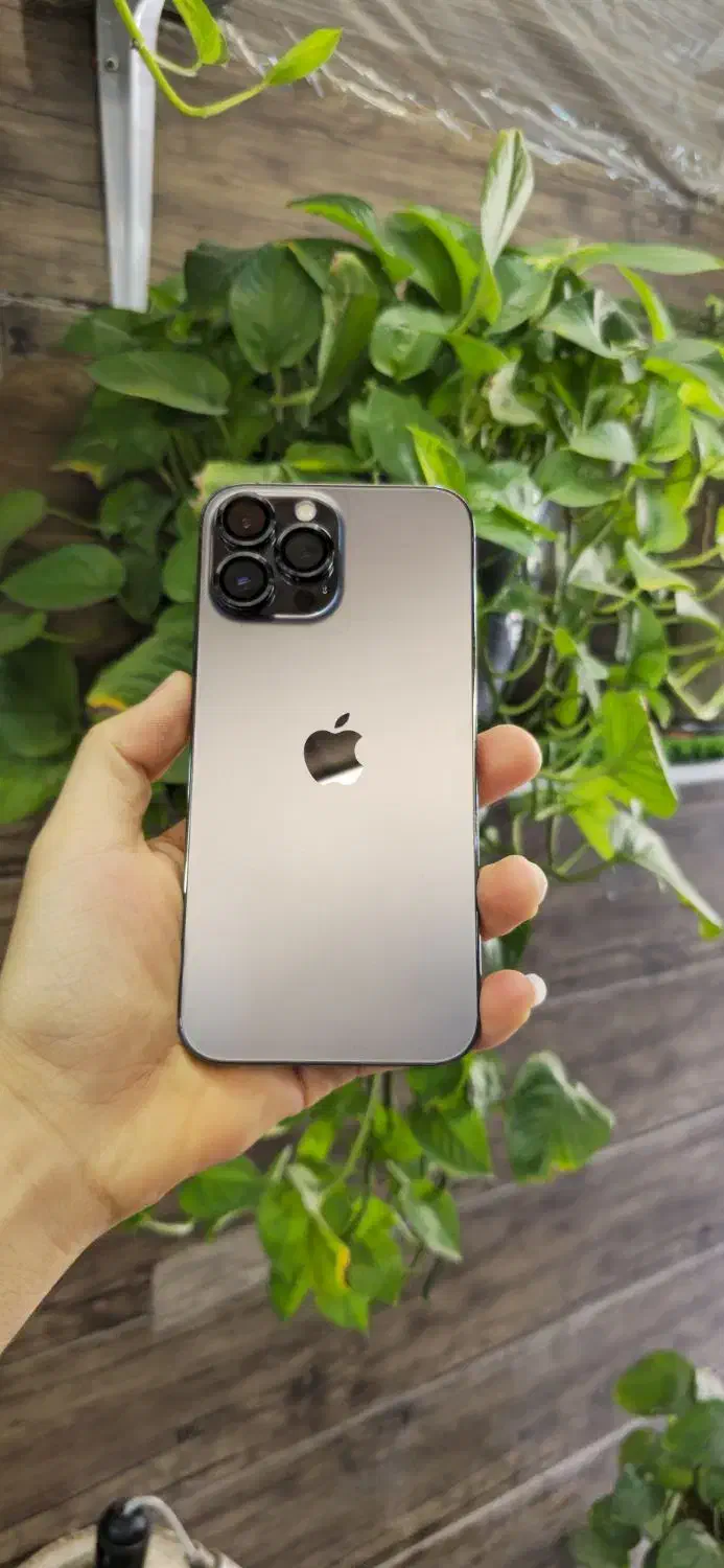 iphone 13 promax|موبایل|اهواز, کمپلو جنوبی|دیوار