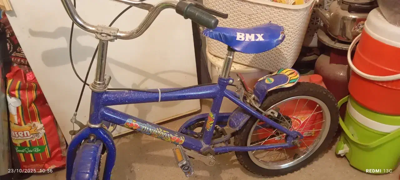 دوچرخه ۱۶|دوچرخه، اسکیت، اسکوتر|ملایر, |دیوار