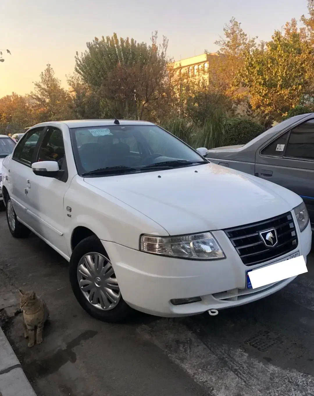 سمند سورن ۱۳۹۶ *فروش اقساطی*|خودرو سواری و وانت|تهران, تهرانپارس جنوبی|دیوار