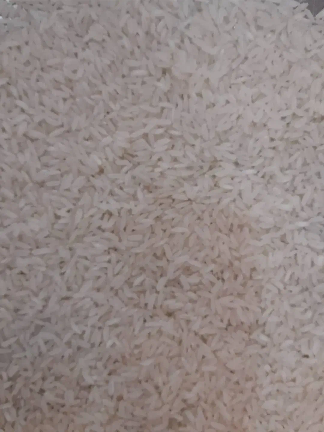 پخش برنج|خوردنی و آشامیدنی|کرج, عظیمیه|دیوار