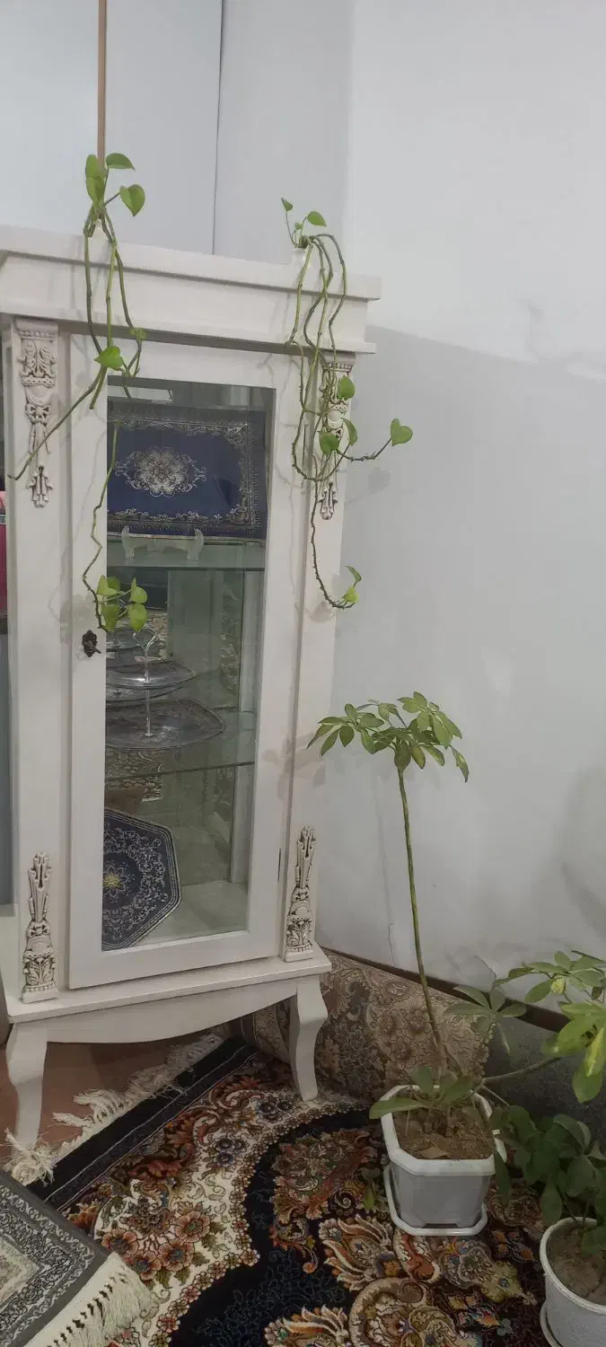 ویترین درحد نو|بوفه، ویترین، کنسول|اصفهان, همتآباد|دیوار