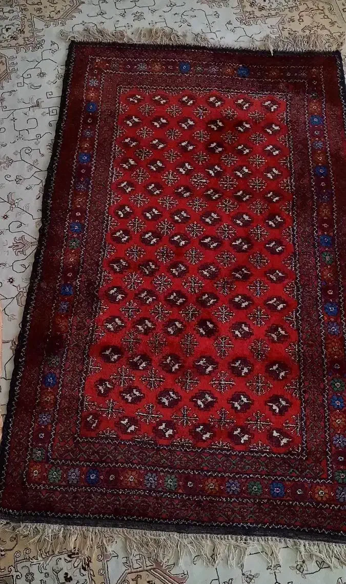 قالیچه ترکمن دستبافت پشم طبیعی|فرش|مشهد, کوشش|دیوار