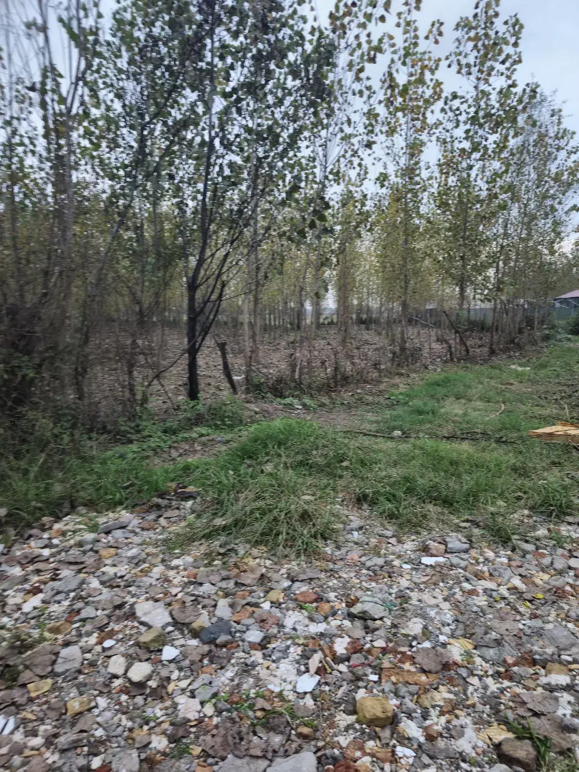 ۳ هزار متر مسکونی باغی (شهر باران حمید فلاح) 369|فروش زمین و ملک کلنگی|لشت نشا, |دیوار