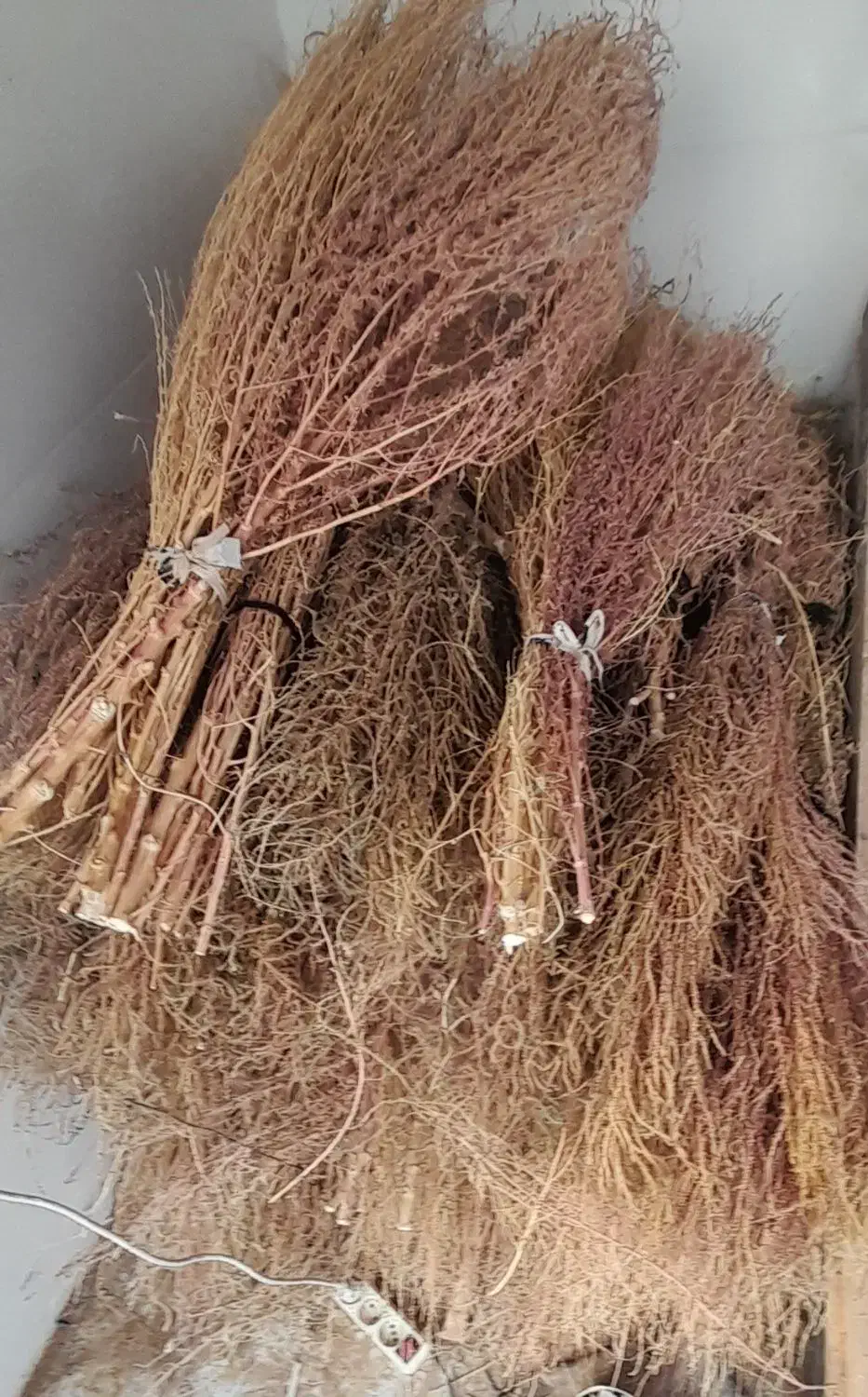 جارو|لوازم نظافت|خرمآباد, |دیوار