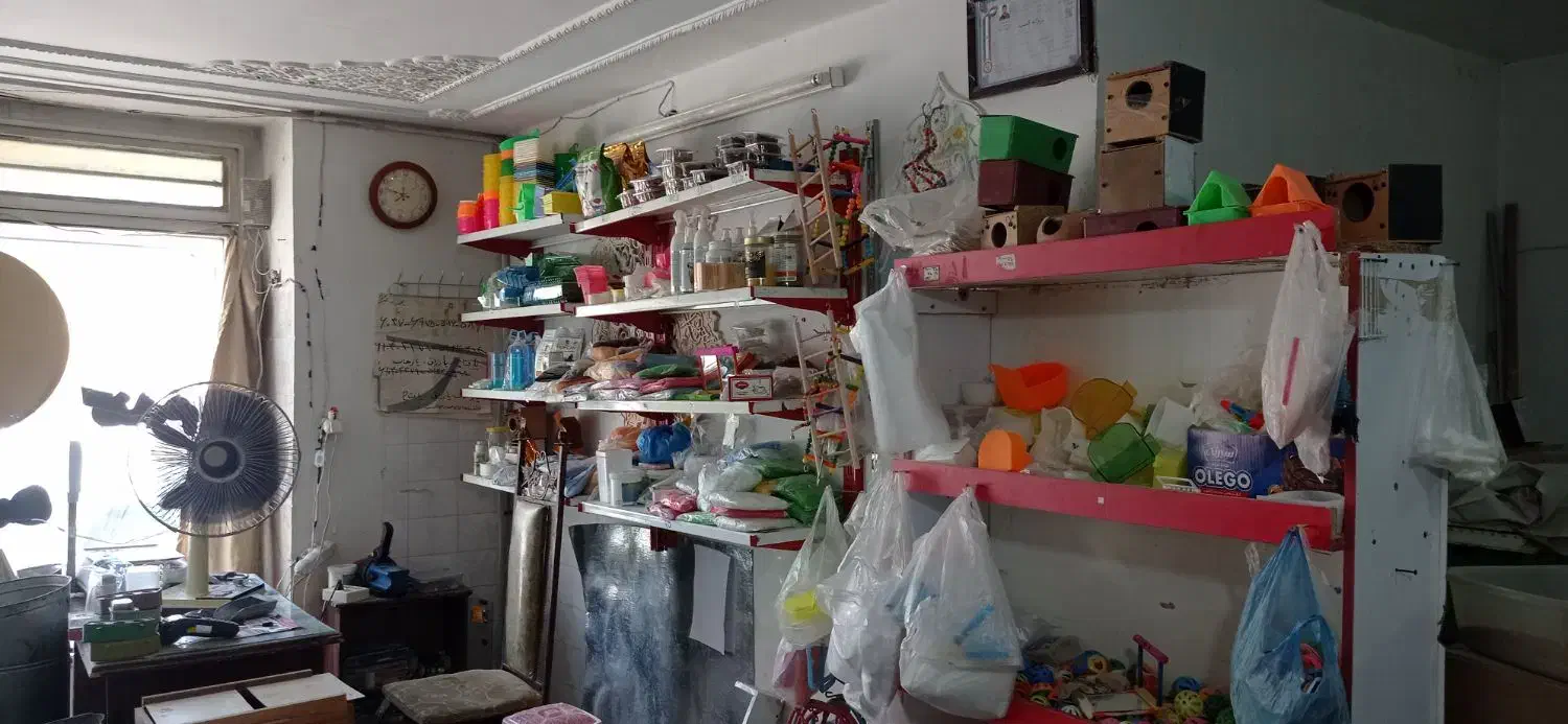 واگذاری پرنده فروشی وکلی لوازم جانبی قفس وپایه|پرنده|تربت‌حیدریه, شهرک ولیعصر|دیوار