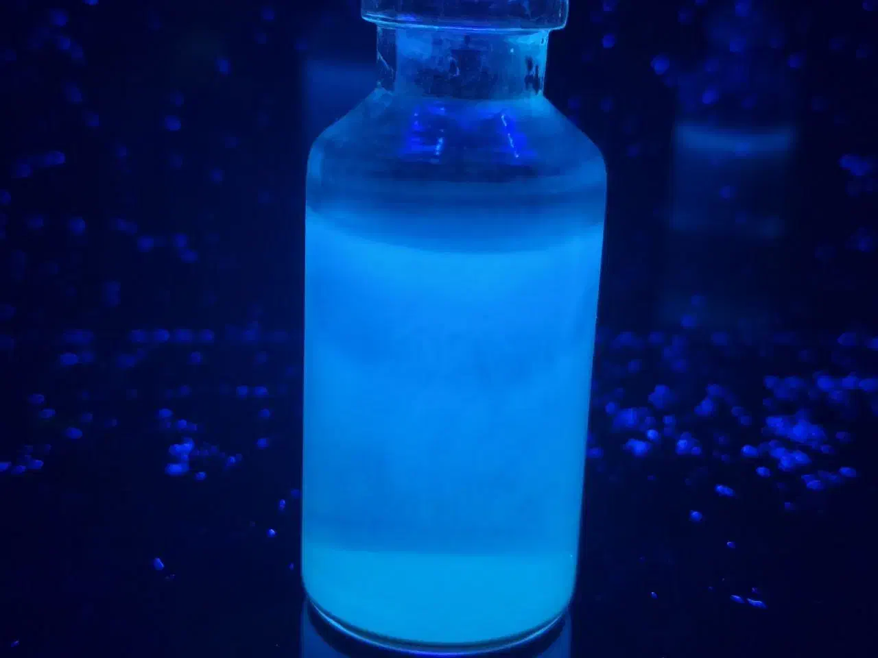 کلاس خصوصی تدریس شیمی|خدمات آموزشی|رشت, کاکتوس|دیوار