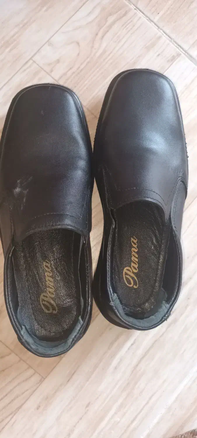 کفش پاما|کیف، کفش، کمربند|محمدشهر, همایون ویلا|دیوار