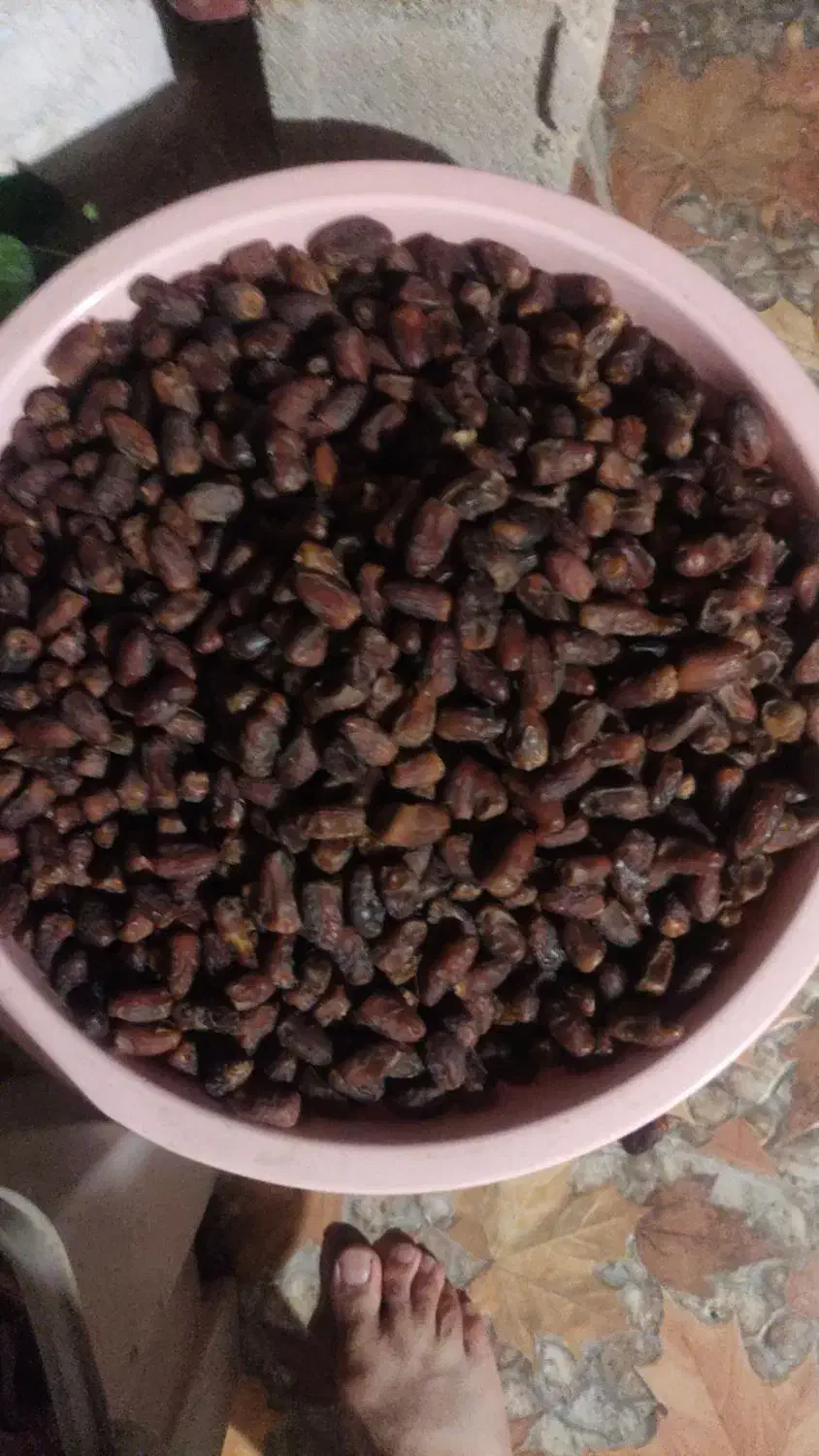 ریزه حلاب|خوردنی و آشامیدنی|جم, |دیوار