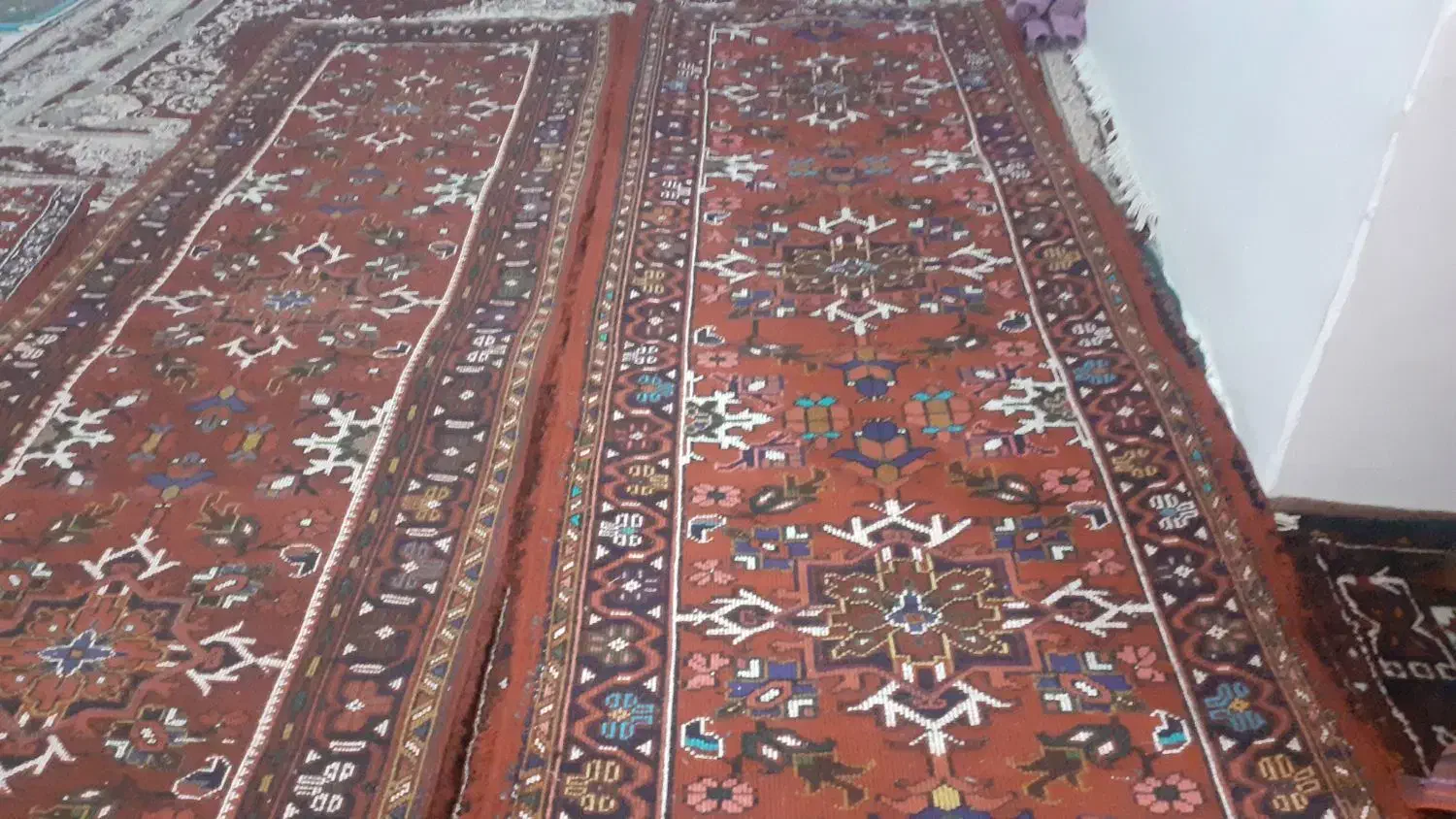 فرش|فرش|اهر, |دیوار