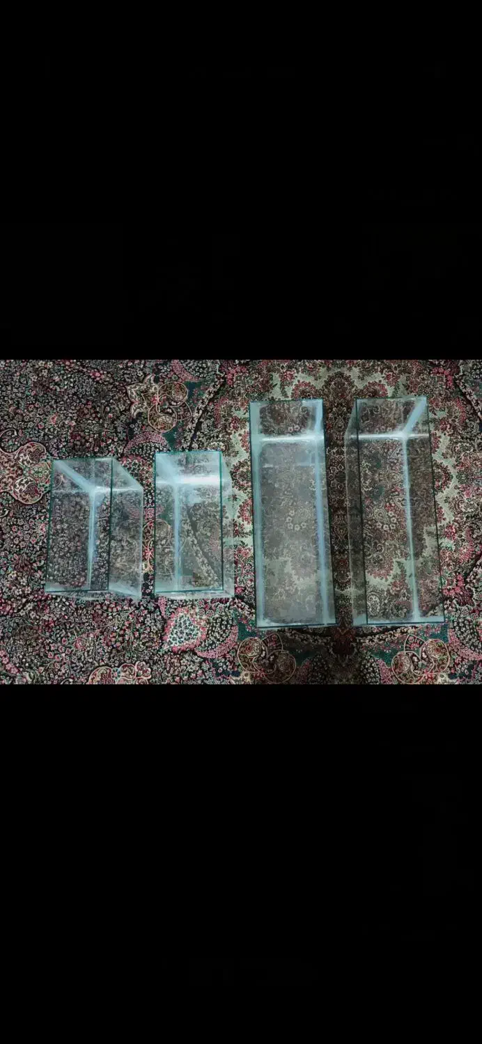 آکواریم نونو|ماهی|سیرجان, |دیوار