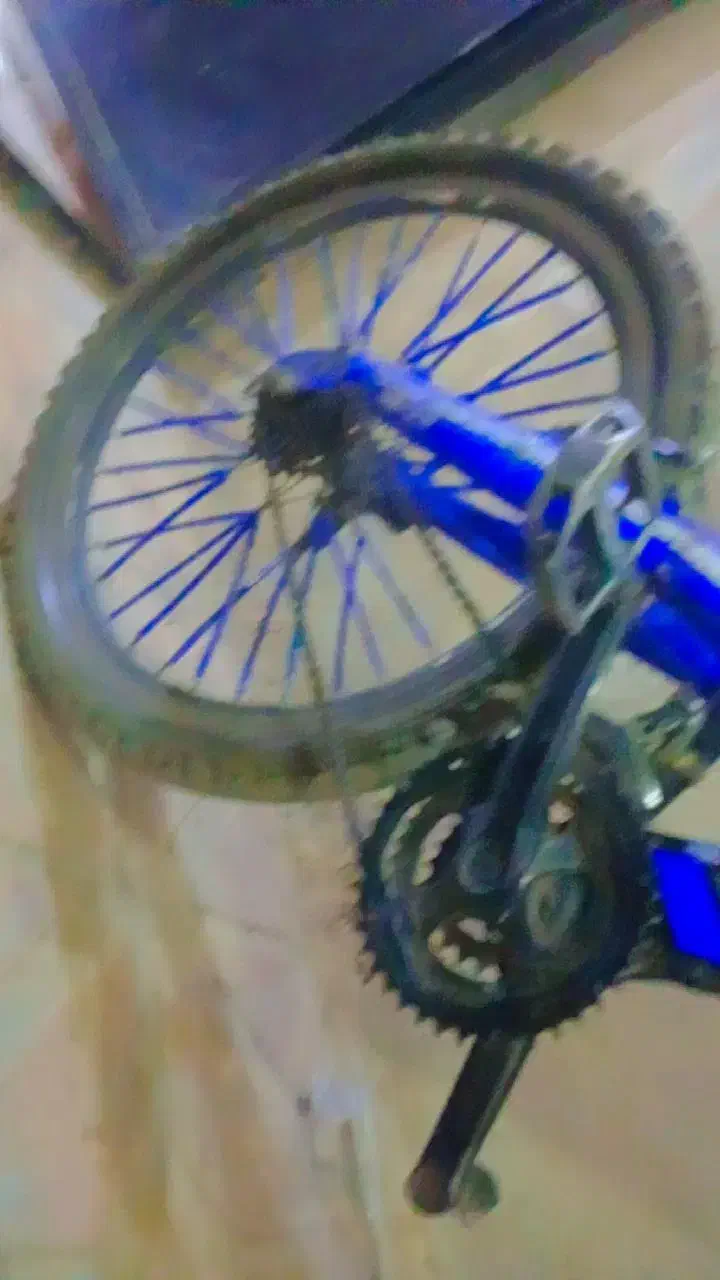 دوچرخه24|دوچرخه، اسکیت، اسکوتر|مشهد, امیرآباد|دیوار