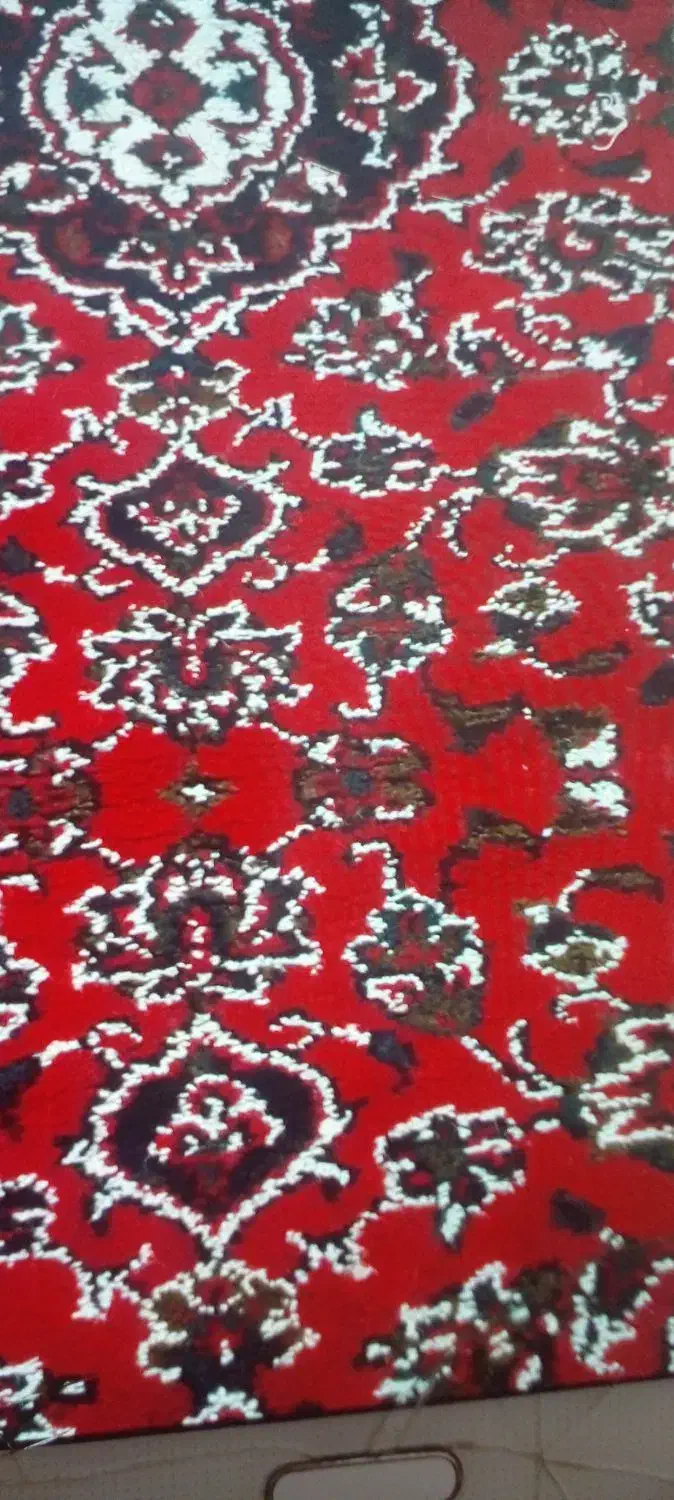 کناره‌فرش‌سالم|فرش|کرمانشاه, |دیوار