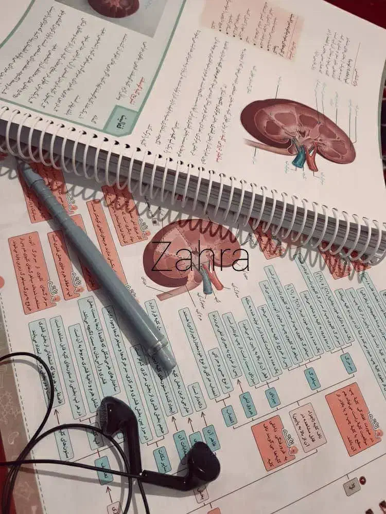 تدریس مفهومی زیست کنکور|خدمات آموزشی|گرگان, |دیوار