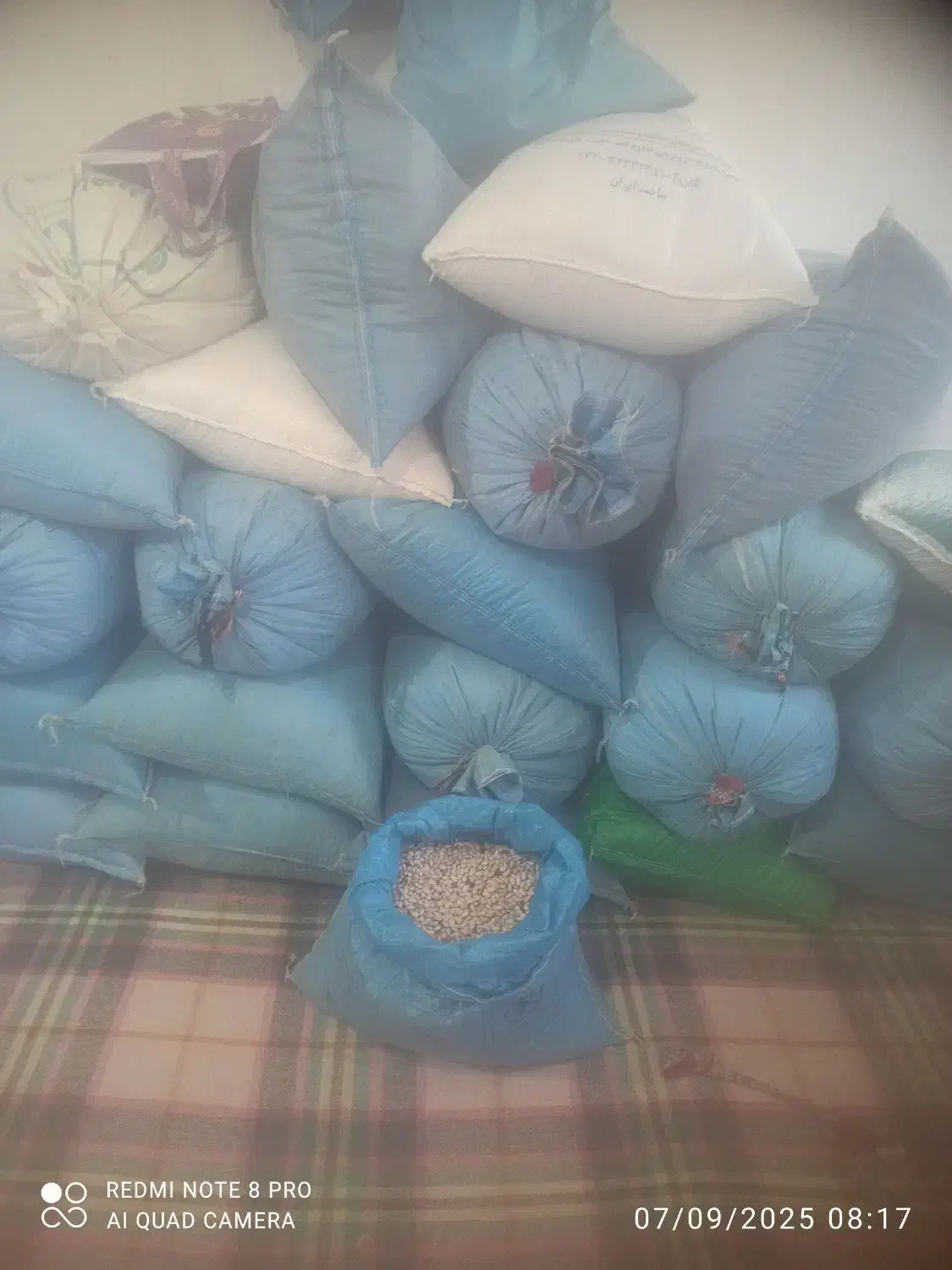 لوبیا چیتی درجه یک برداشت امسال  ۳۸۰|خوردنی و آشامیدنی|رستم, |دیوار