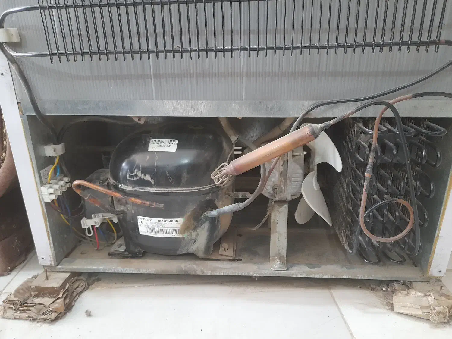 فریزر / تک در /|فروشگاه و مغازه|کردکوی, |دیوار