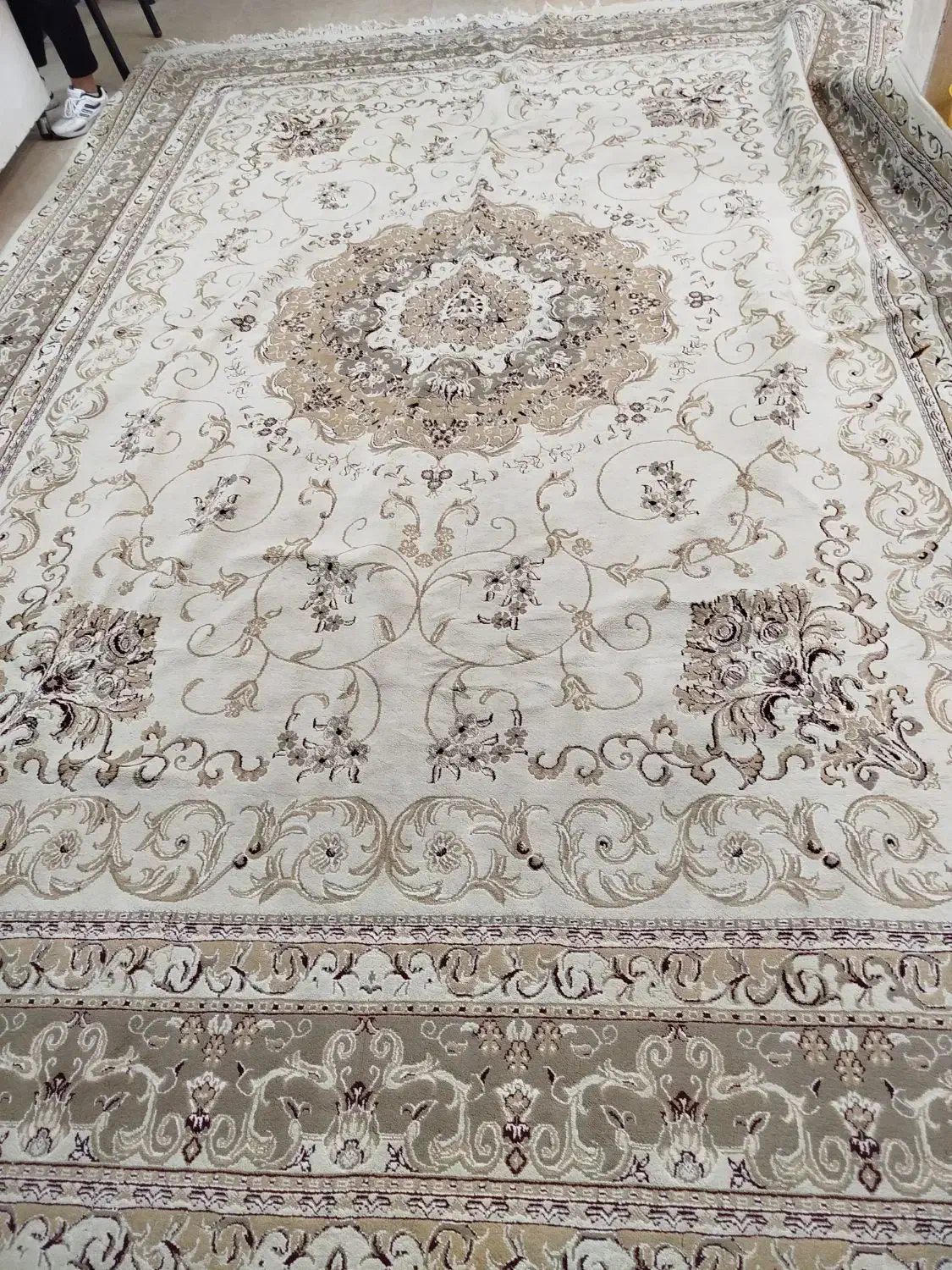 فرش کرم 12متری|فرش|مشهد, همت آباد|دیوار