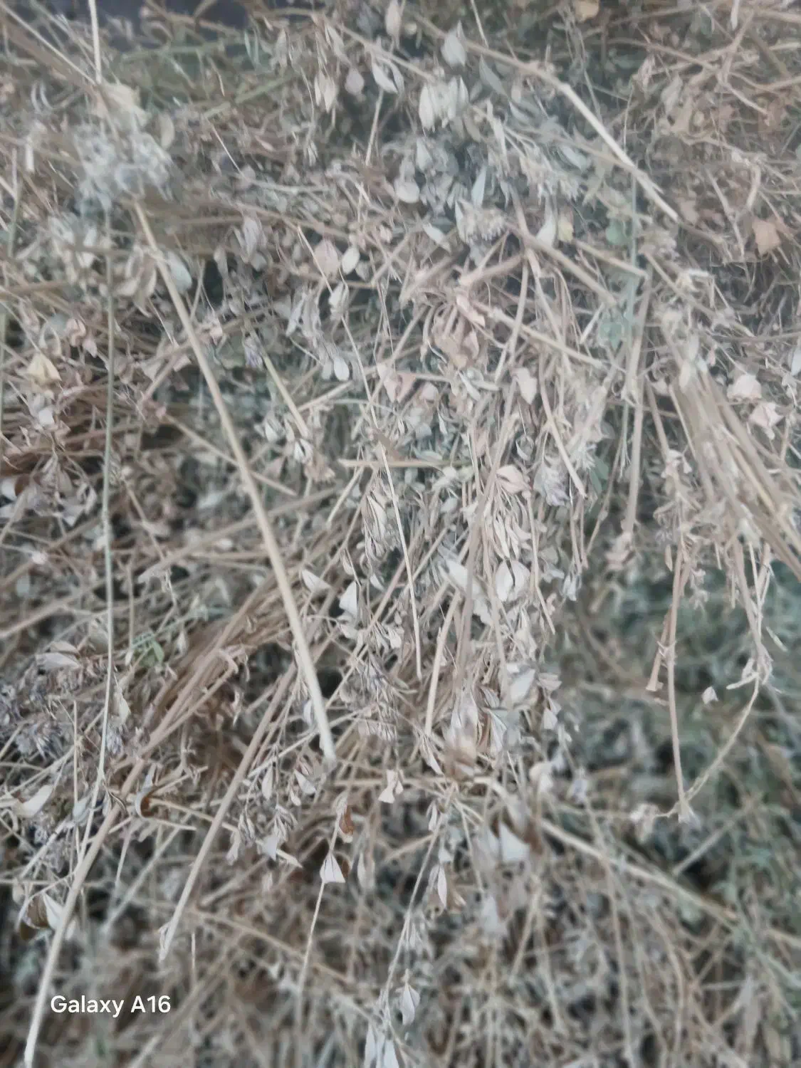 کاه و یونجه|لوازم جانبی حیوانات|خواجه, |دیوار