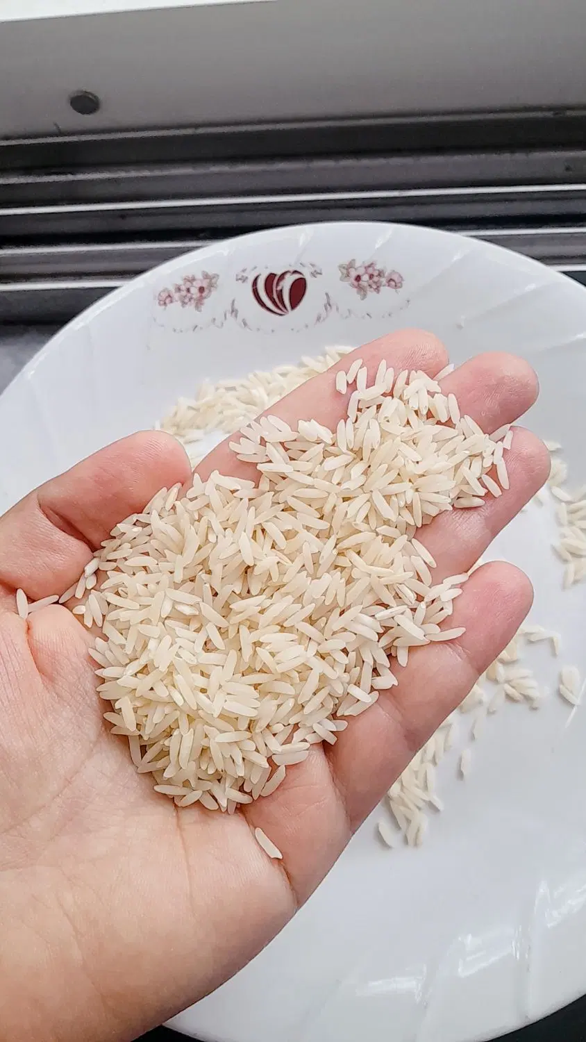 برنج|خوردنی و آشامیدنی|رودسر, |دیوار