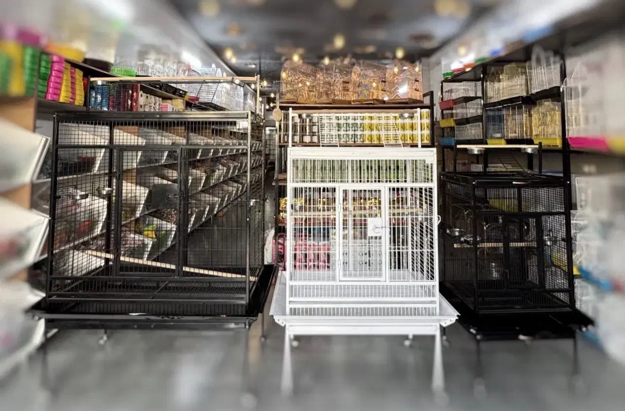 قفس پرنده|لوازم جانبی حیوانات|امیدیه, |دیوار