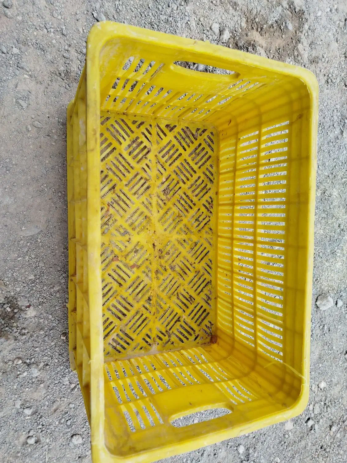 سبد|عمده‌فروشی|ممقان, |دیوار