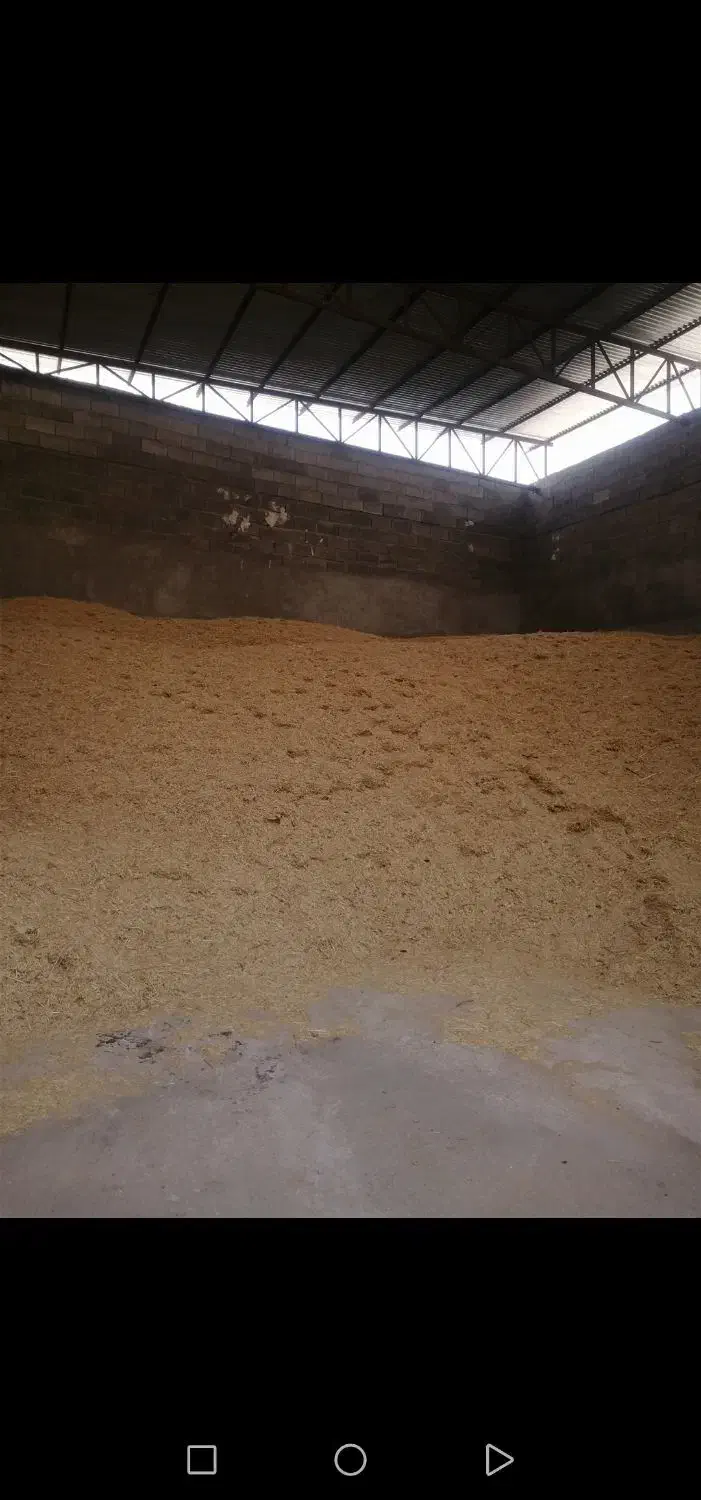 کاه گندم|لوازم جانبی حیوانات|جره و بالاده, |دیوار