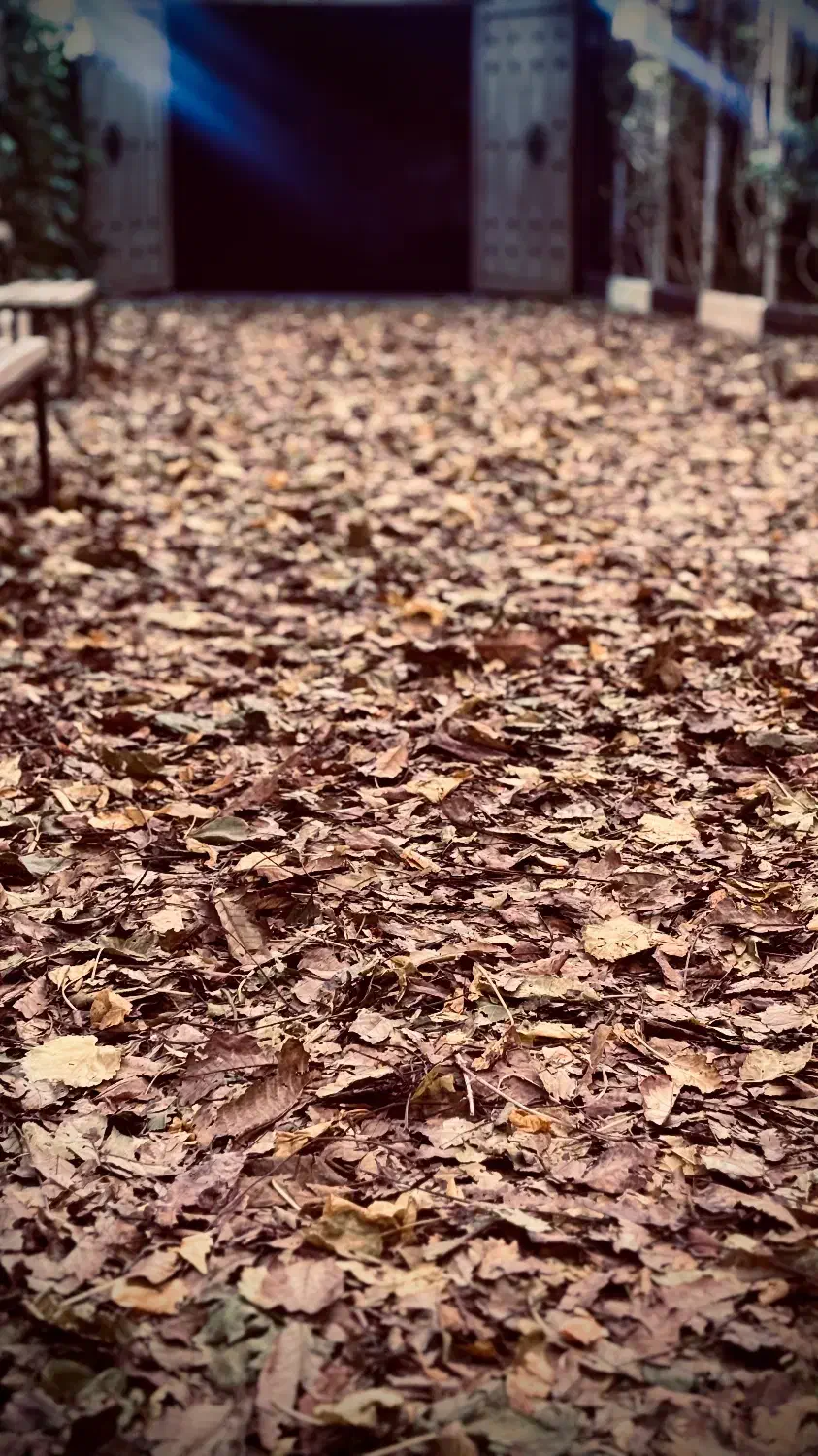 کد هدیه رایگان|کارت هدیه و تخفیف|مشهد, شهید بهشتی|دیوار