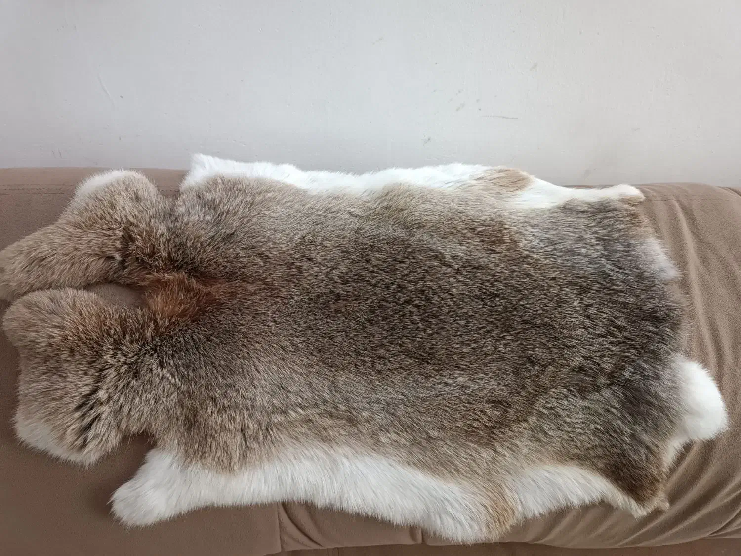 فروش پوست خرگوش باکیفیت|صنایع دستی و سایر لوازم تزئینی|شیراز, عفیفآباد|دیوار