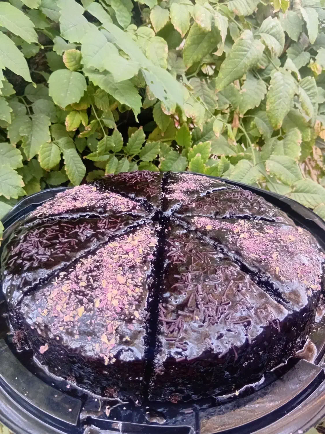 کیک کافه ای وتولد|خوردنی و آشامیدنی|بم, |دیوار