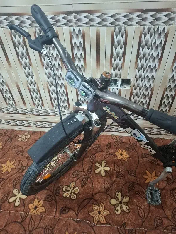 دوچرخه 24بدون دنده|دوچرخه، اسکیت، اسکوتر|آبادان, |دیوار