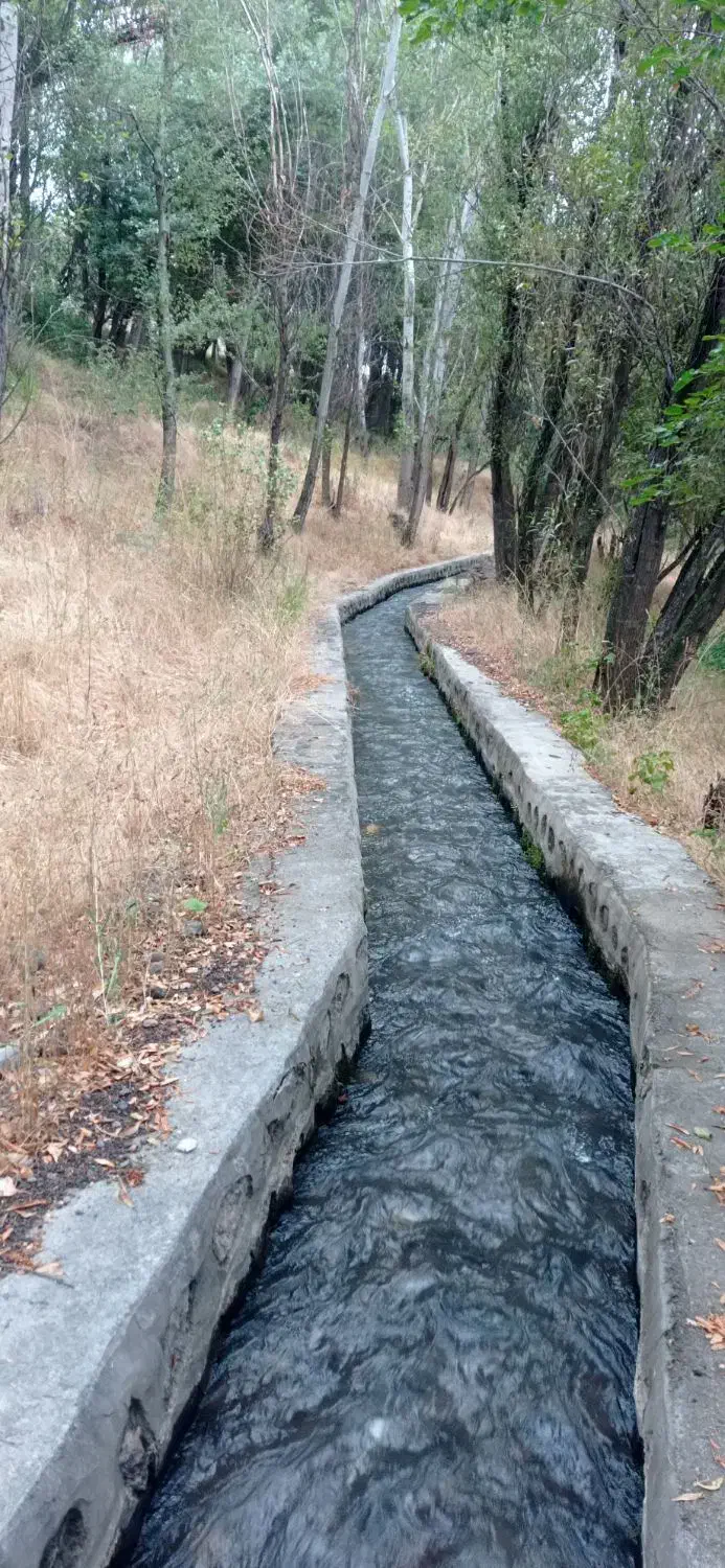 خرید انواع چوب|خدمات باغبانی و درختکاری|اهر, |دیوار