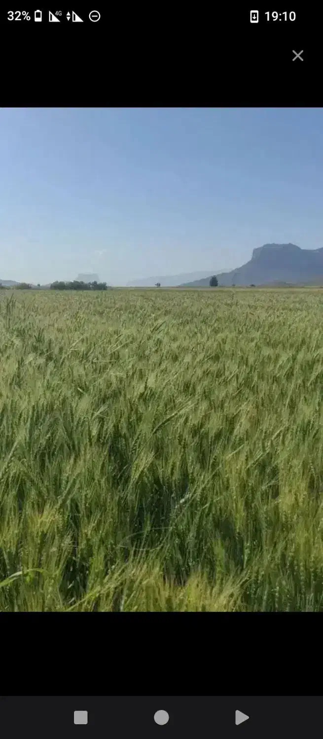 اجاره 8هکتار زمین کشاورزی|اجارهٔ دفتر صنعتی، کشاورزی، تجاری|درودزن, |دیوار