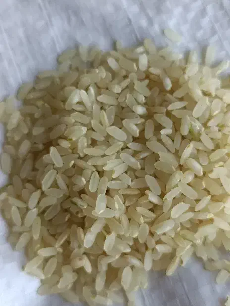 برنج کامفیروزی لوکس(بدون واسطه)|خوردنی و آشامیدنی|مرودشت, بهارستان|دیوار