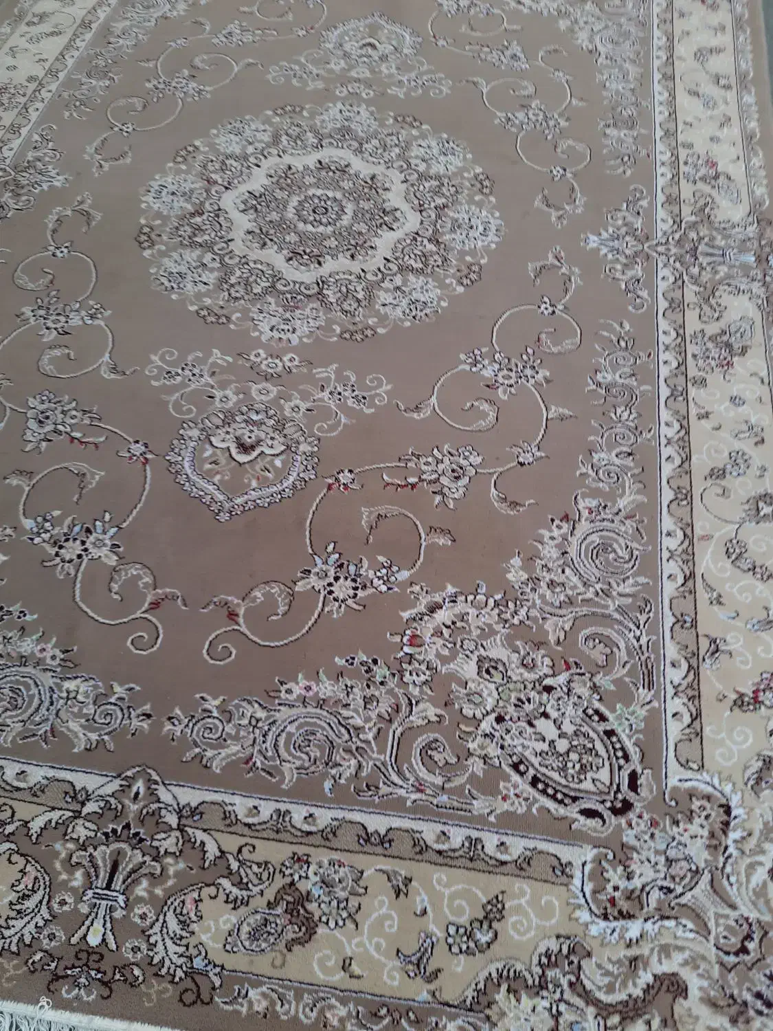 فرش آیلار|فرش|قم, باغ شریفی|دیوار