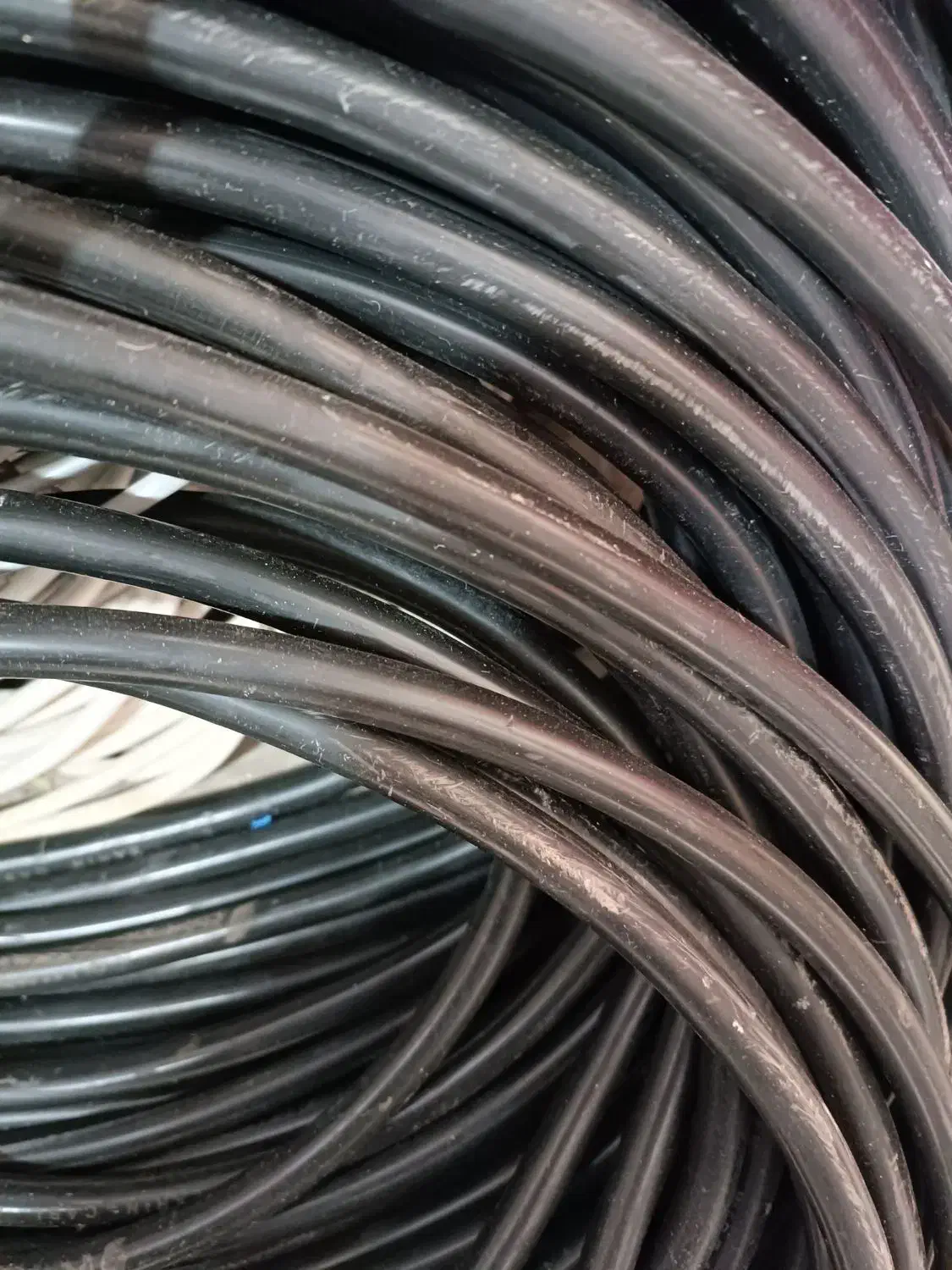 کابل ۶|مصالح و تجهیزات ساختمان|رشت, پیرسرا|دیوار