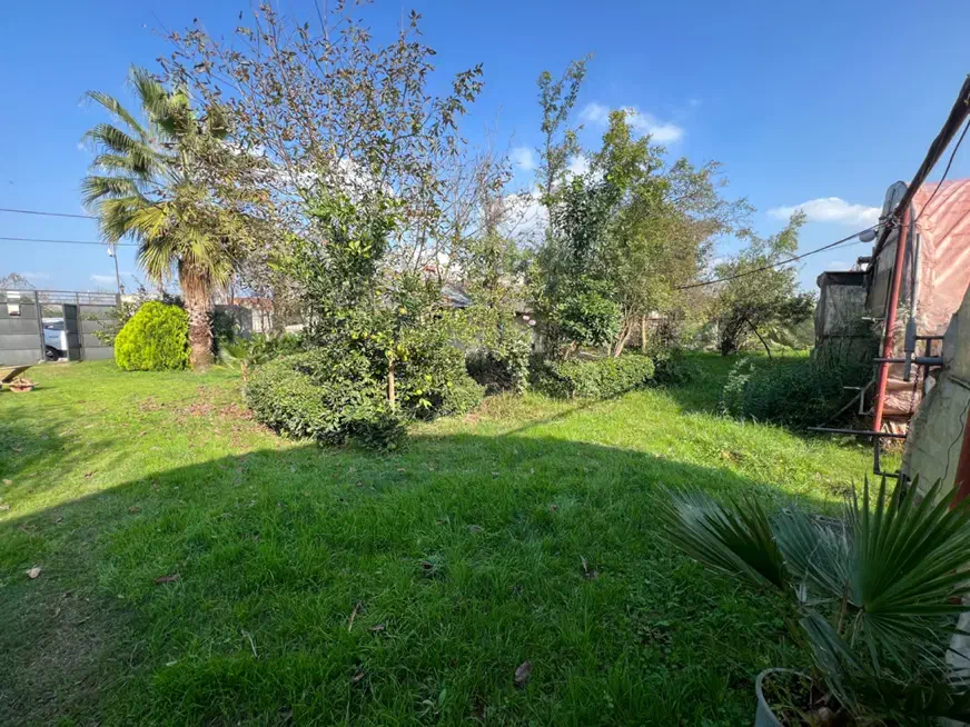 گلخانه|فروش دفتر صنعتی، کشاورزی، تجاری|رشت, حومه رشت|دیوار