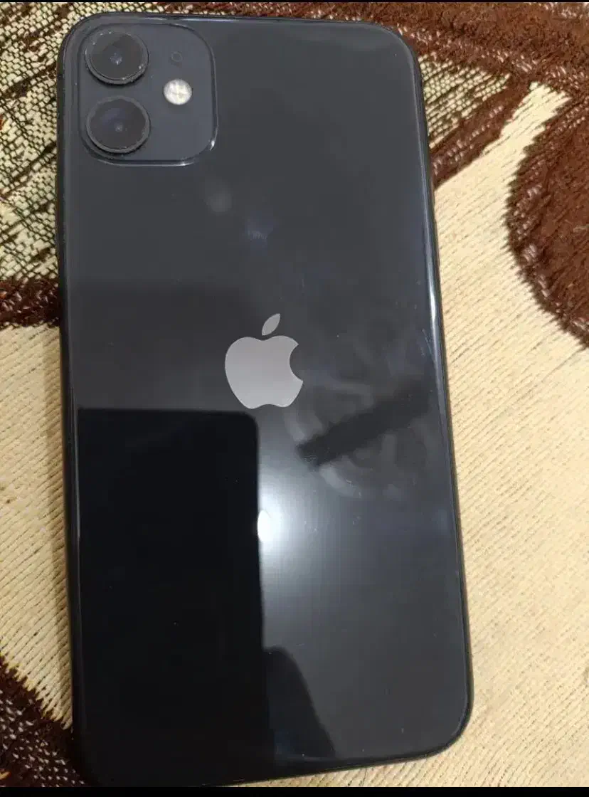 iPhone 11 نرمال|موبایل|قشم, |دیوار
