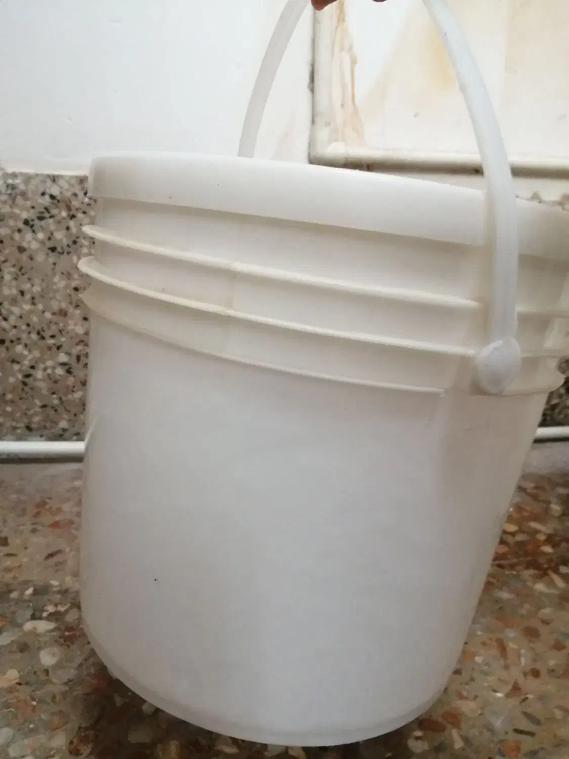 سطل محکم 6 کیلویی پنیری درب دار|ظروف نگهدارنده، پلاستیکی، یک‌بارمصرف|حمیدیا, |دیوار