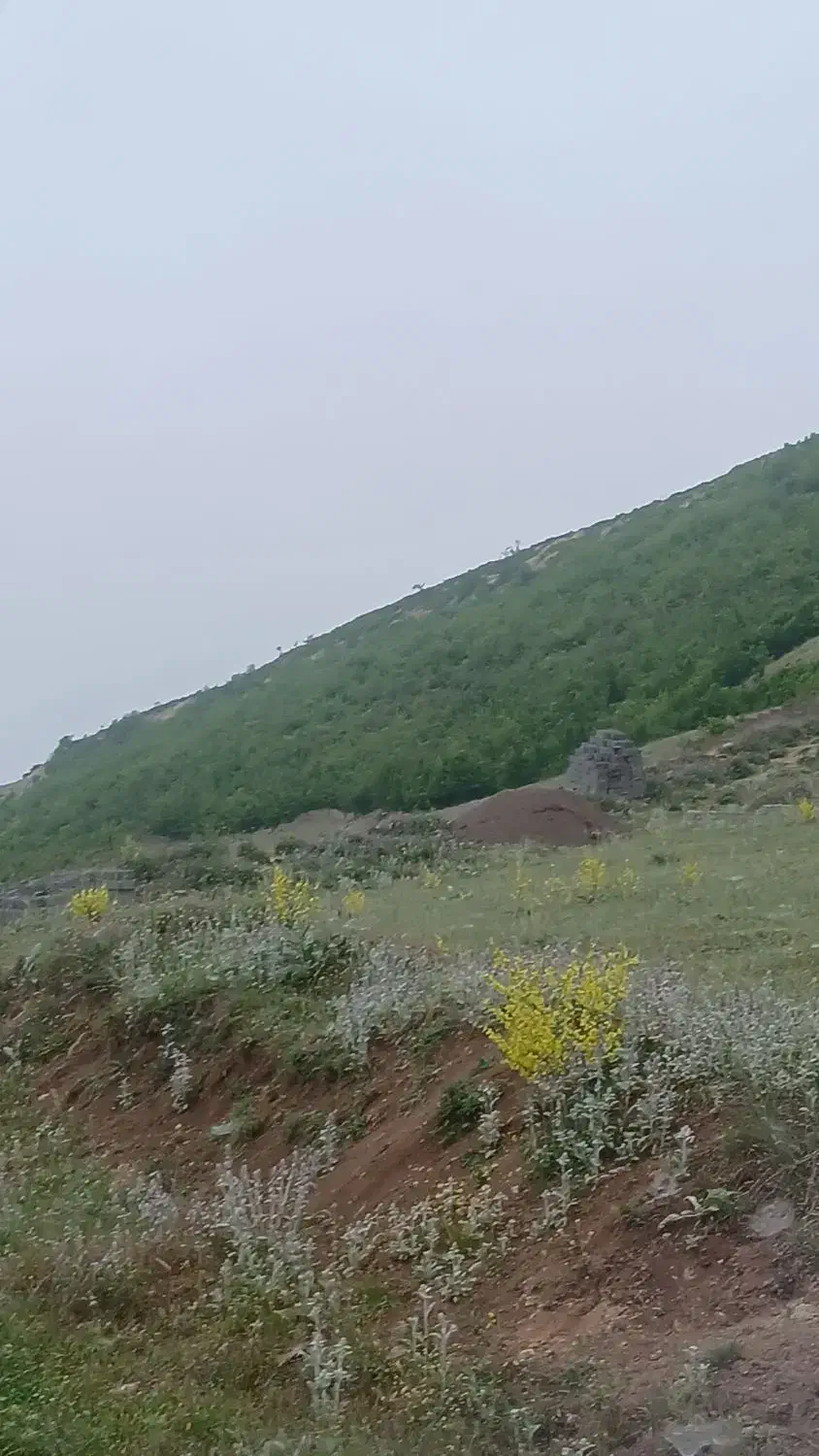 کلاردشت ویو بی نظیر شهرکی آب و برق با نگهبانی|فروش زمین و ملک کلنگی|کلاردشت, |دیوار