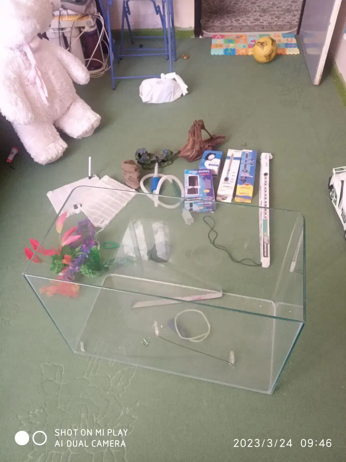 آکواریوم با کلیه تجهیزات در حد نو|ماهی|شیراز, گلدشت معالیآباد|دیوار