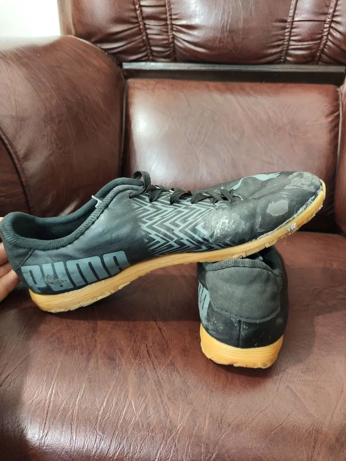 کفش سالن فوتسال|کیف، کفش، کمربند|گرگان, |دیوار