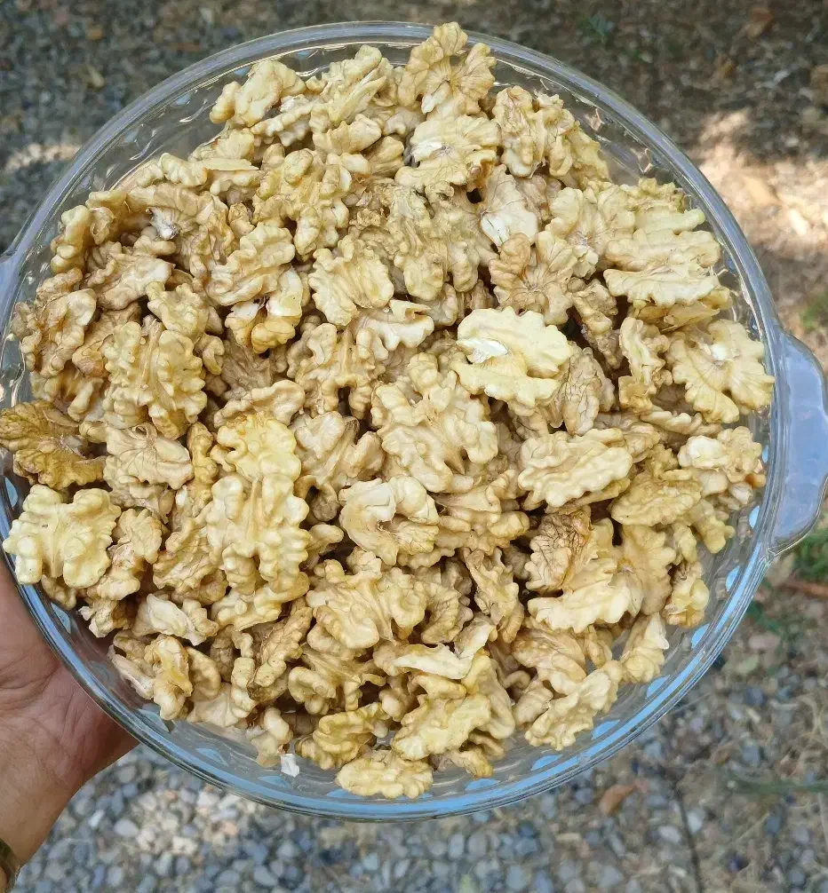 گردوی پوست سبز تازه تویسرکان پوست نازک|خوردنی و آشامیدنی|کوهسار (البرز), |دیوار
